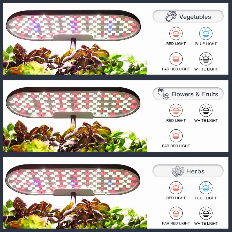 Hydroponic Planter Sill and Soil